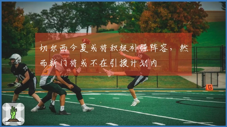 切尔西今夏或将积极补强阵容，然而新门将或不在引援计划内